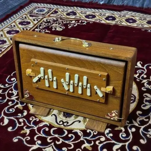 brown_teak_wood_shruti_box__74857