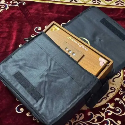 brown_teak_wood_shruti_box_with_padded_black_bag_23079e86-6f07-4926-8e3f-d64ec82b3394__84183