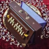 buy_indian_single_octave_medium_size_dark_brown_national_music_wmd1_shruti_box_with_golden_handle_and_multi_fold_bellows_at_best_prices_online__55324