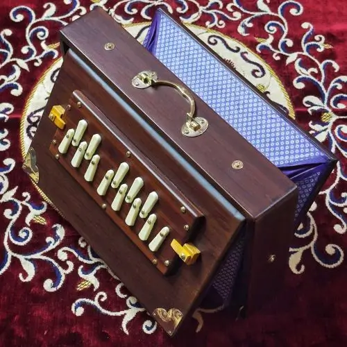 buy_indian_single_octave_medium_size_dark_brown_national_music_wmd1_shruti_box_with_golden_handle_and_multi_fold_bellows_at_best_prices_online__55324