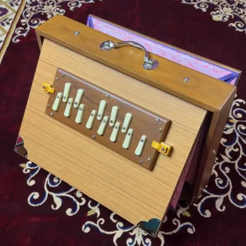 buy_national_music_large_1_octave_shruti_box_with_silver_handle_for_travelling__48772