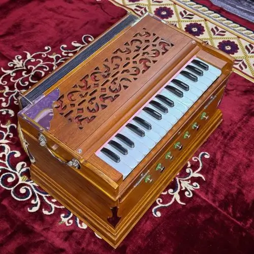 national_music_small_standing_harmonium_with_side_handles_for_learner_kids__31700